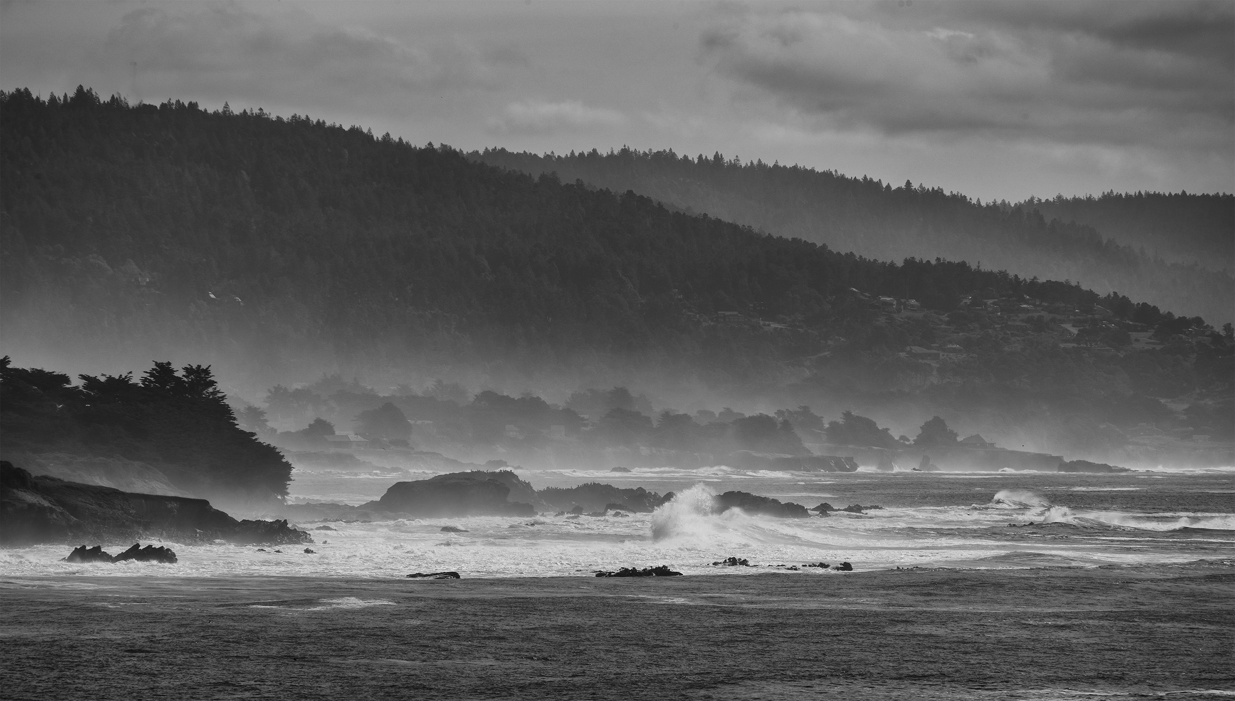 Sea Mist by Mary Ann Carrasco