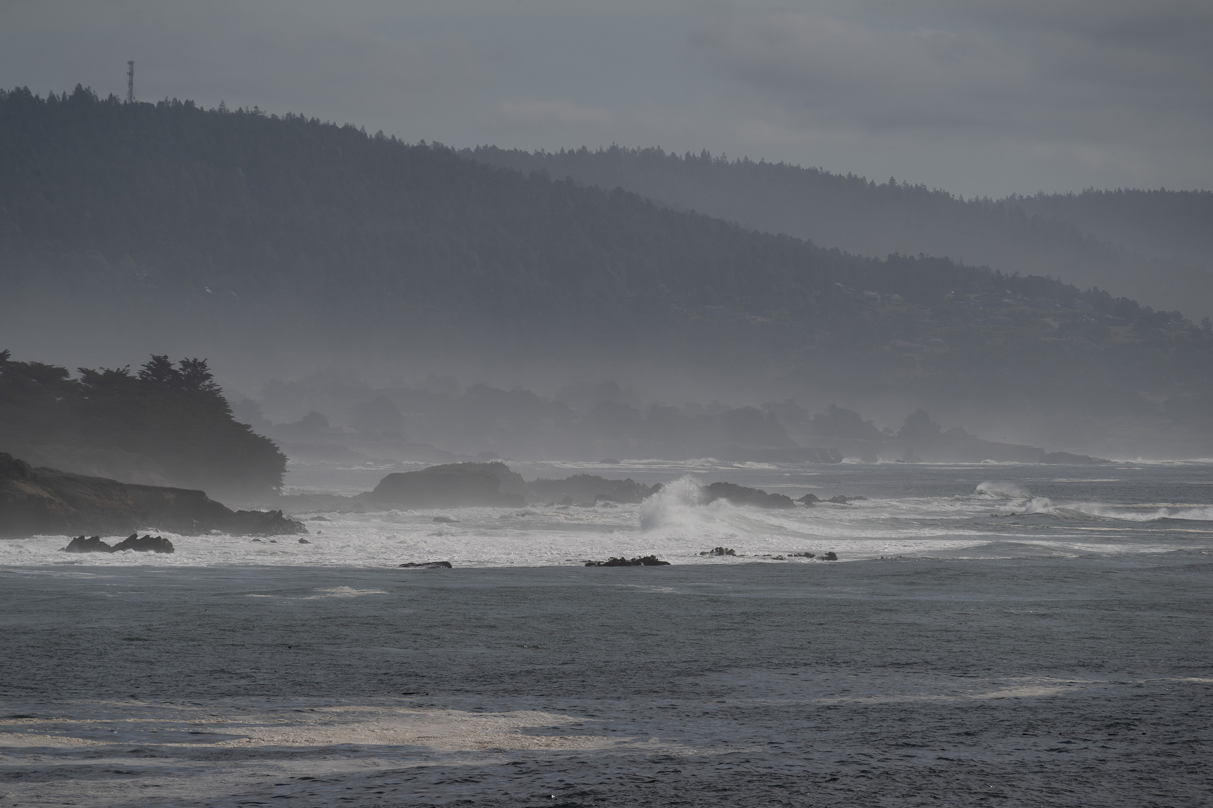 November 2025 - Mary Ann Carrasco