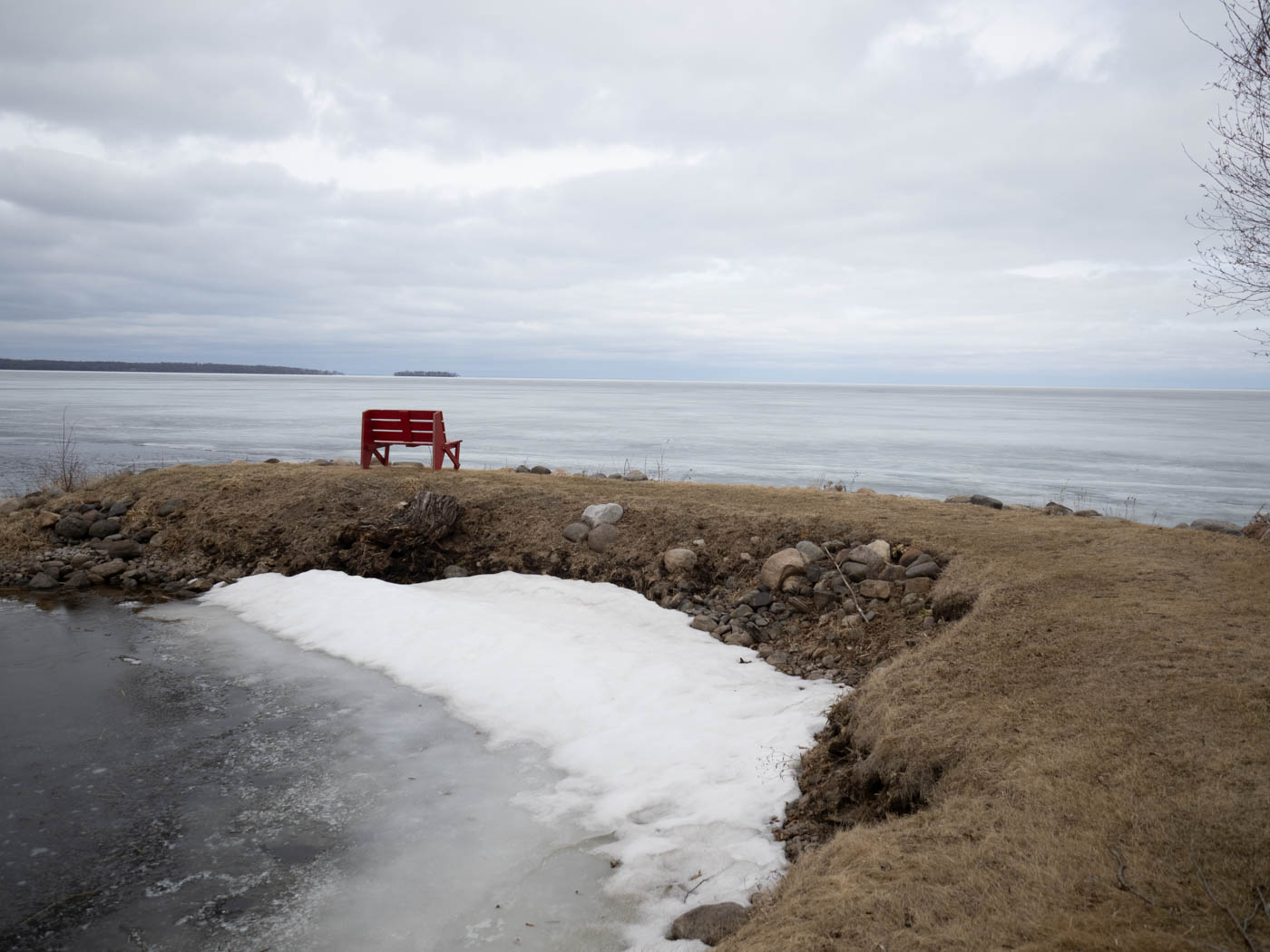 April 2026 - David Halgrimson, APSA