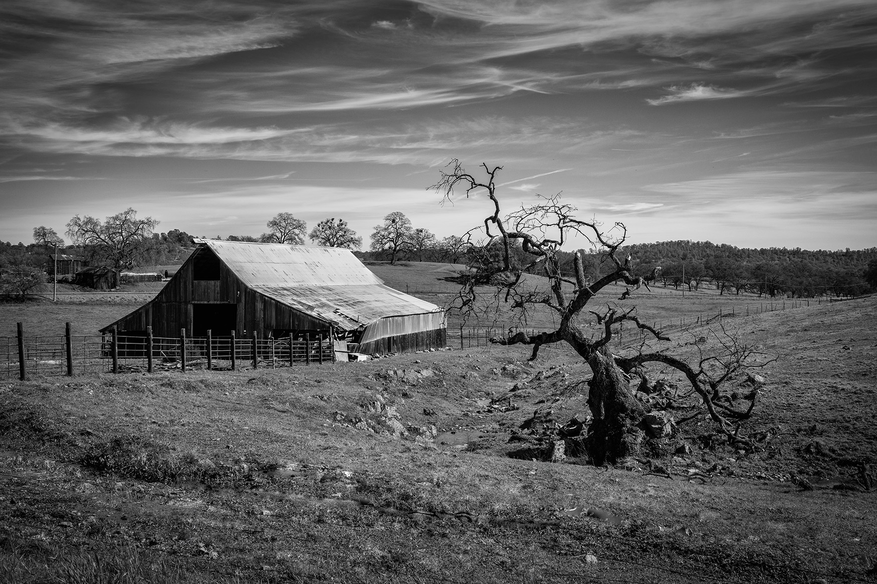 Countryside Off Latrobe Road by Mary Ann Carrasco