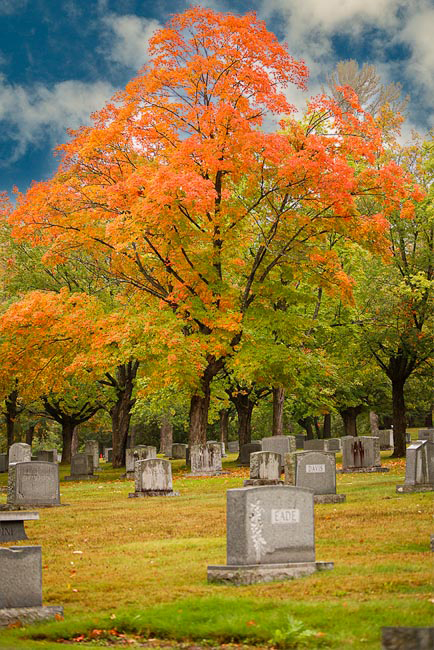 All Saints Day by Henry Roberts