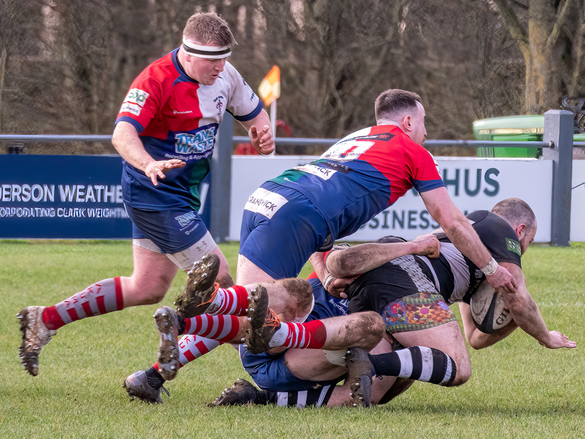 Brought Down by Andrew Hersom