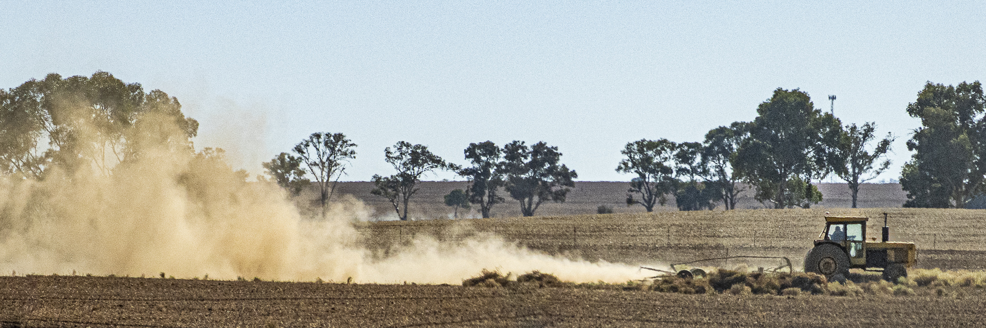 Drought Farming by Julie Deer