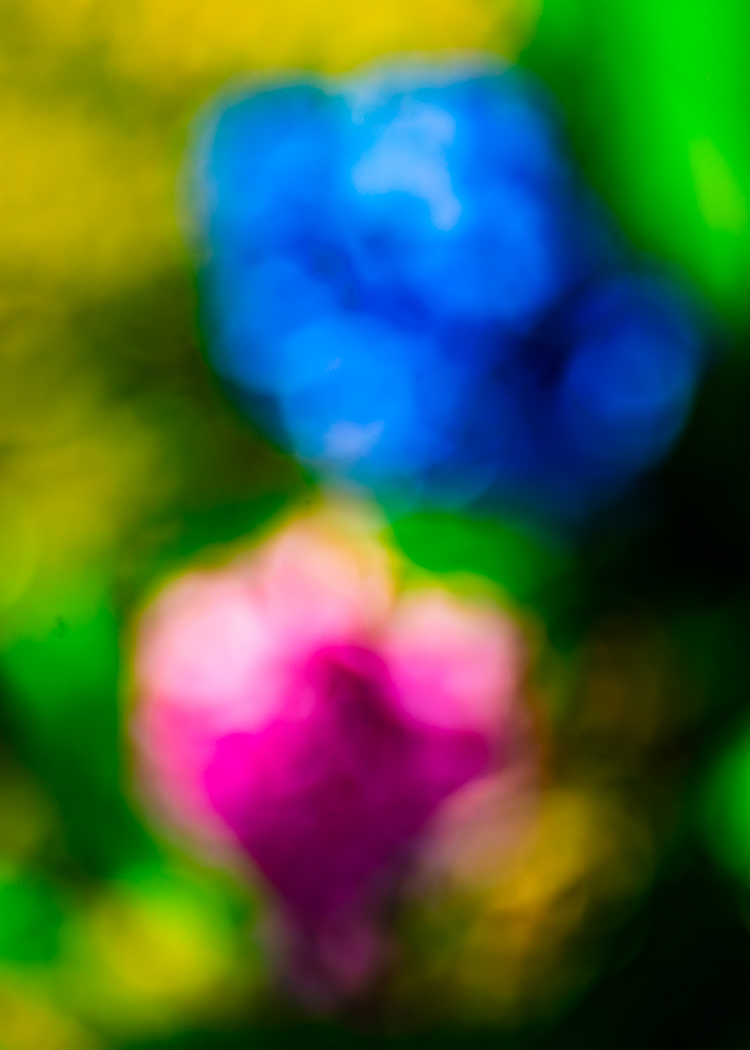 Easter 26 by Catherine Honigsberg