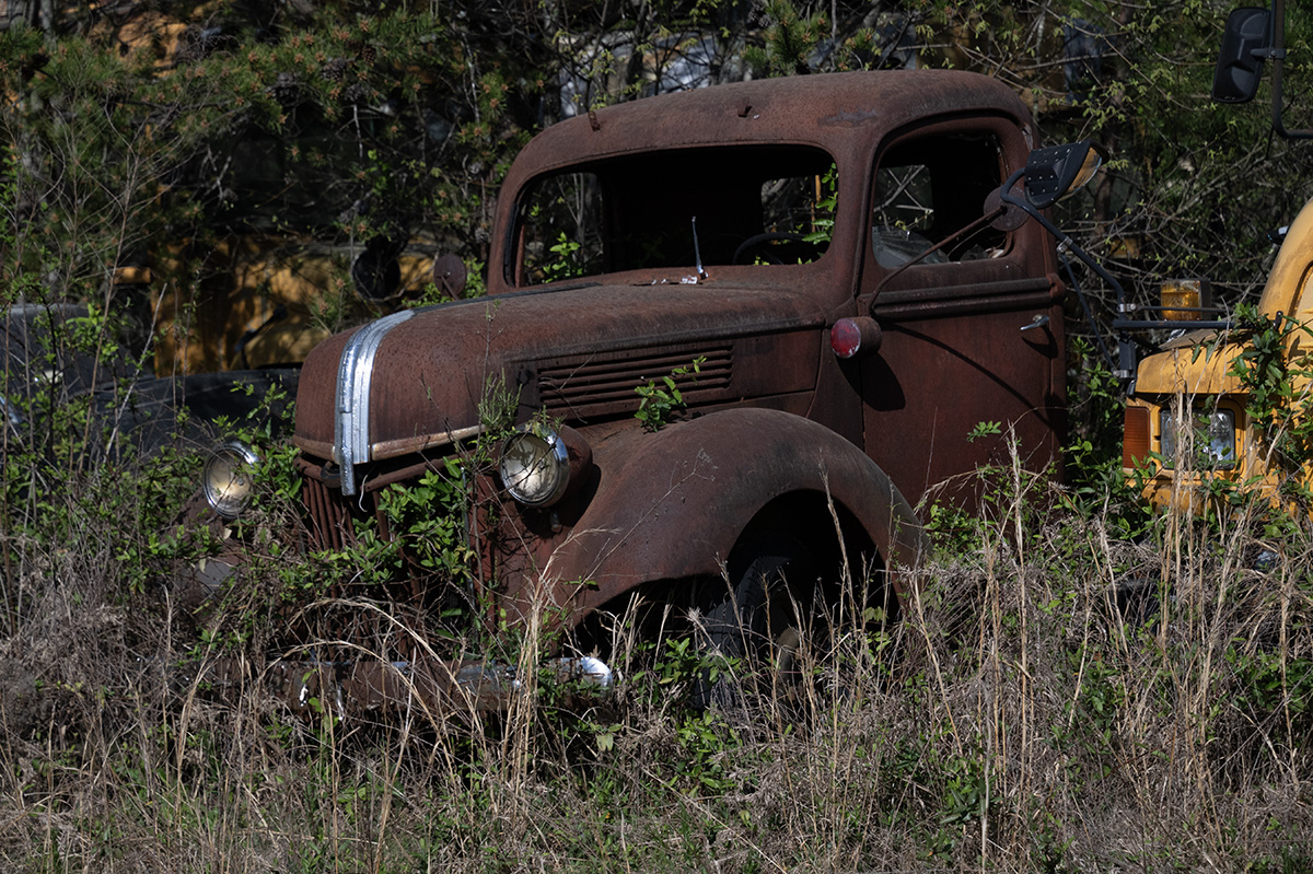 April 2026 - Shari Garnsey