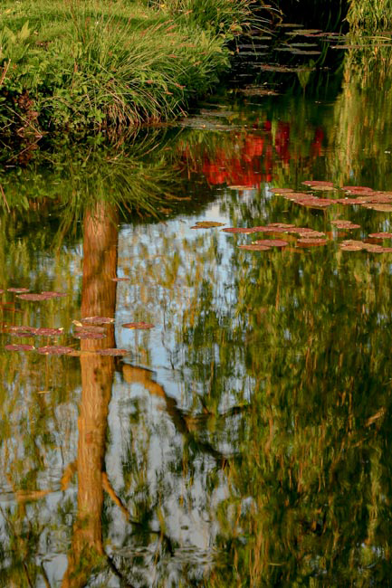 Monet Pond Giverny France by Henry Roberts