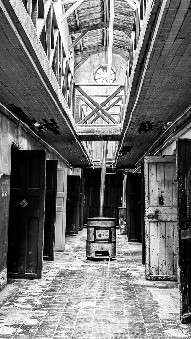 Prison in the End of the World by Ling Ling Juang