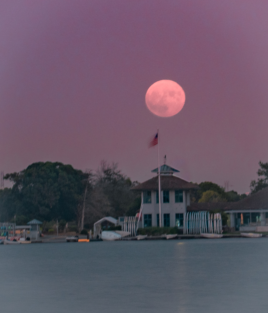 Harvest Moon  by Ling Ling Juang