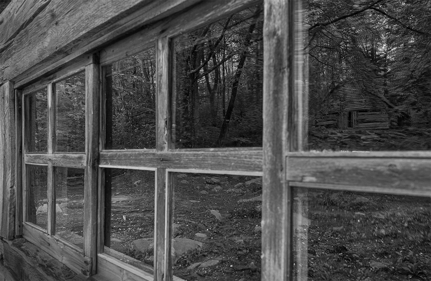 November 2025 - Shari Garnsey