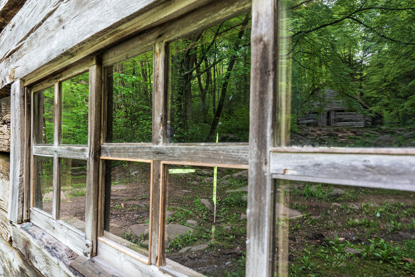 November 2025 - Shari Garnsey