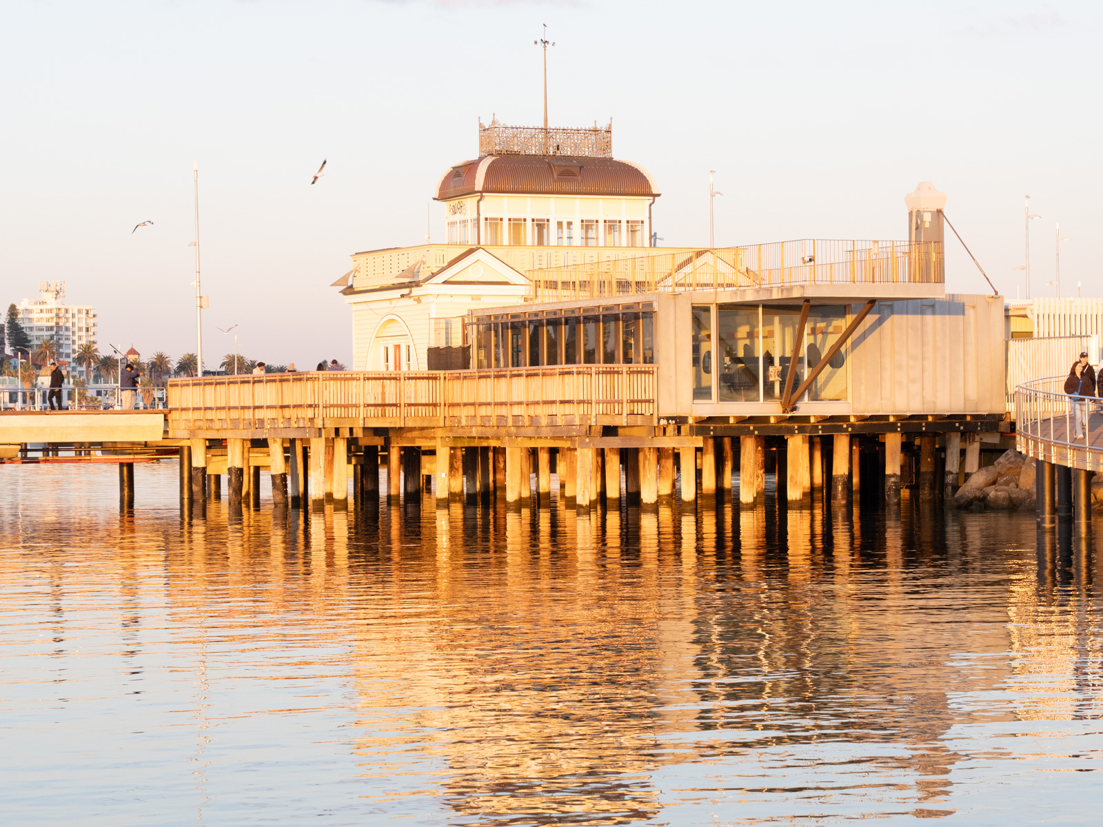 November 2025 - Julie Deer