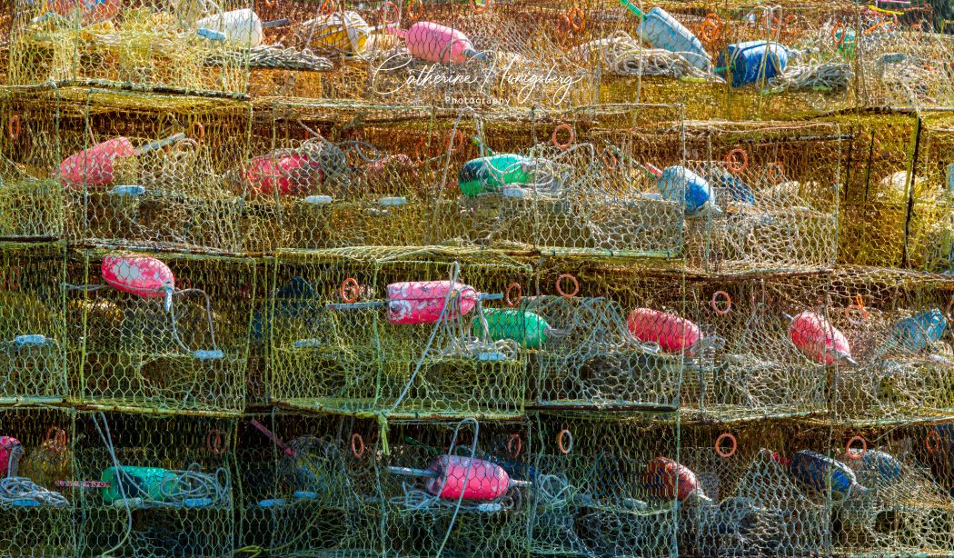 Crab Pots by Catherine Honigsberg