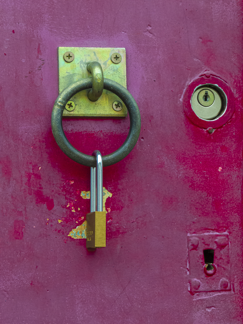 Security Door