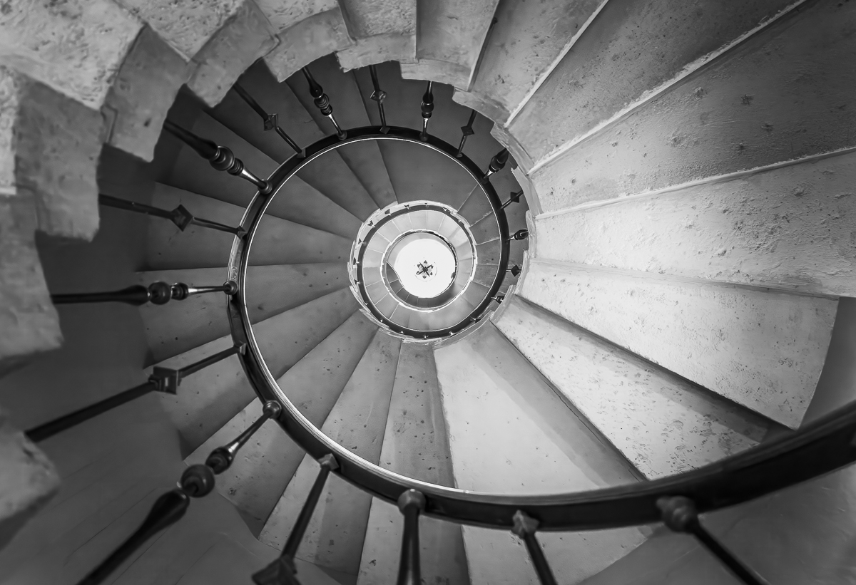 Untitled by Janice Solomon