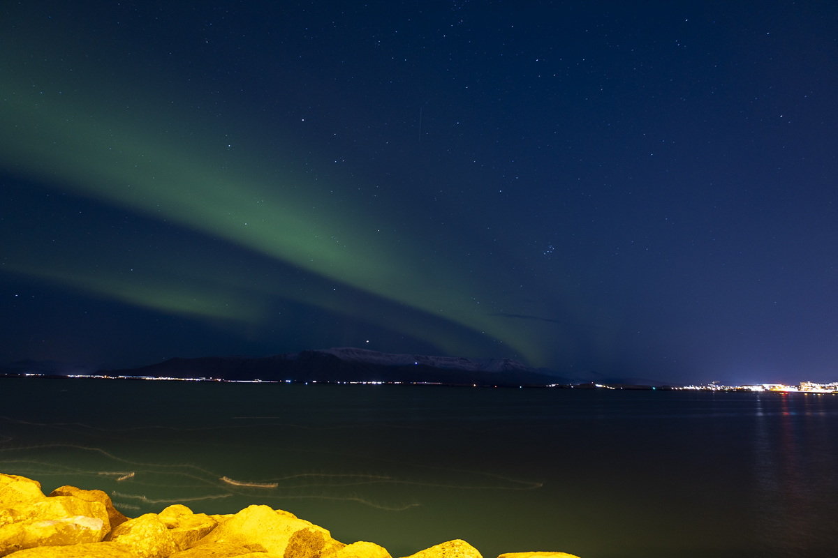 November 2025 - Janice Solomon