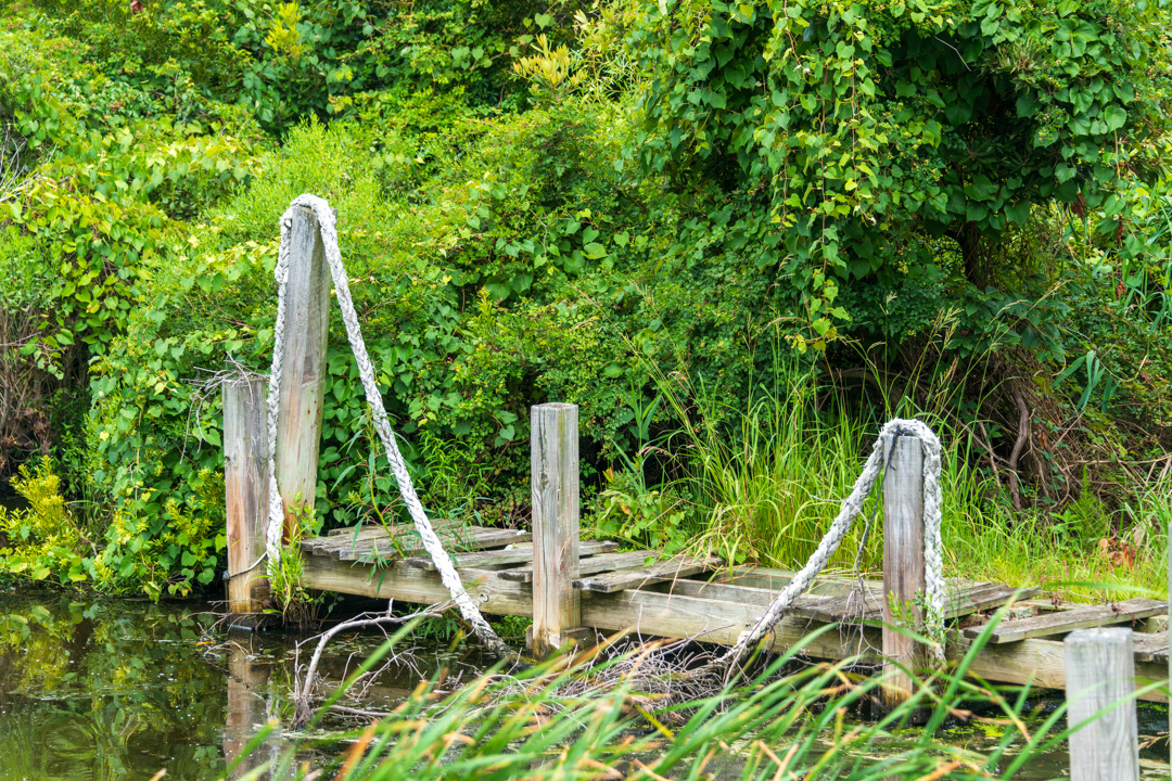 Wharf by Catherine Honigsberg