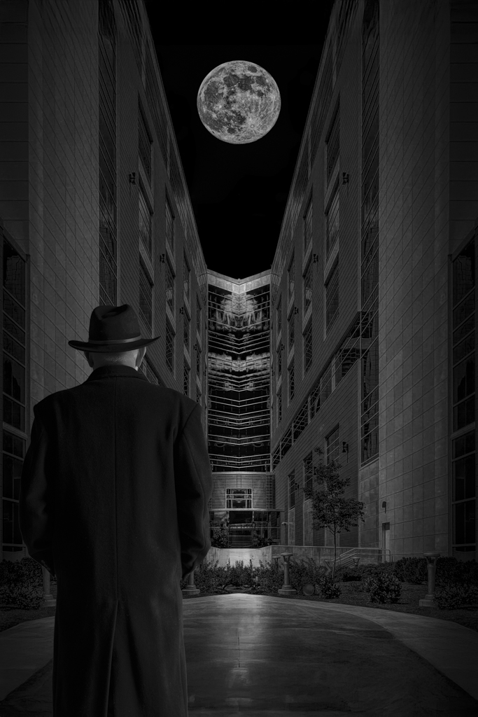 Watching the Moon by Tom Kredo