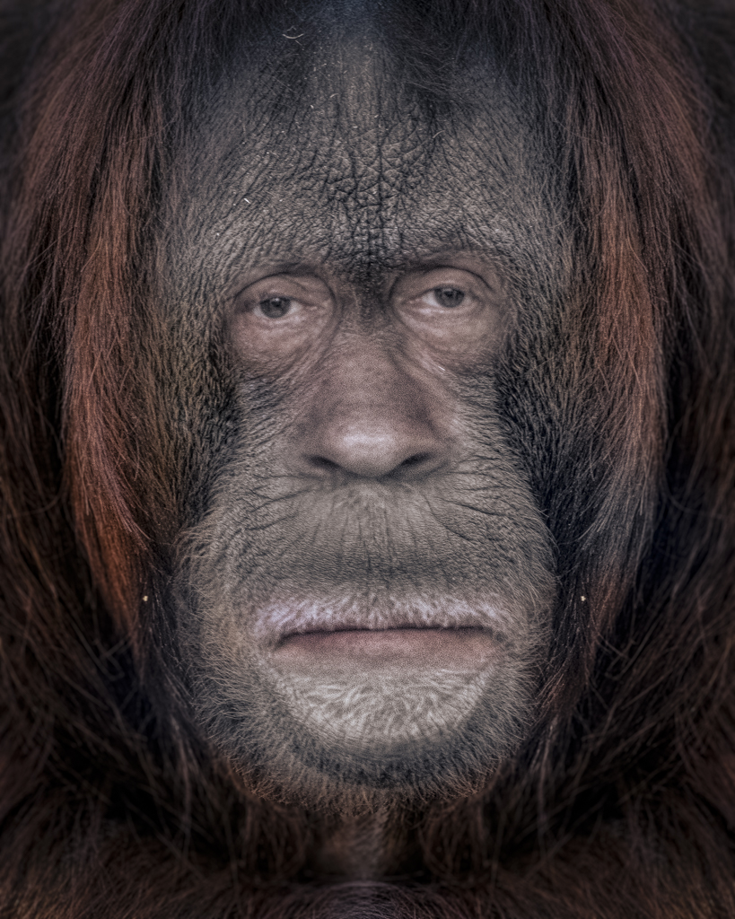 My Greatest Ancestor by Tom Kredo