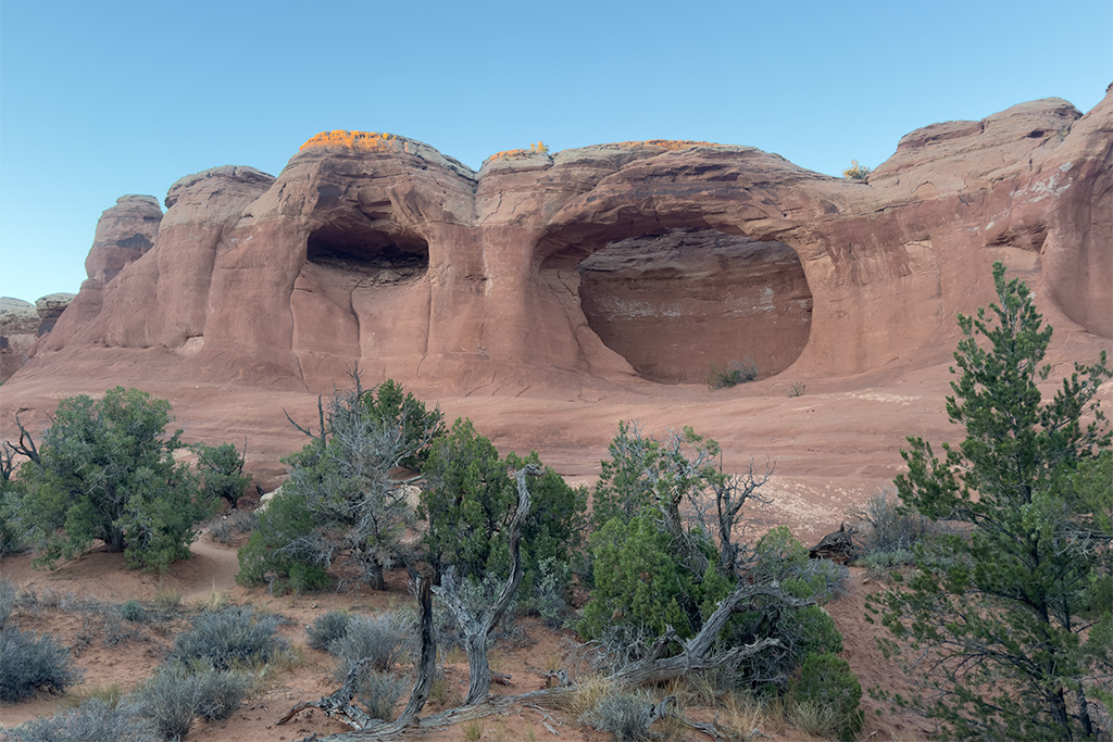 November 2025 - Brad Becker