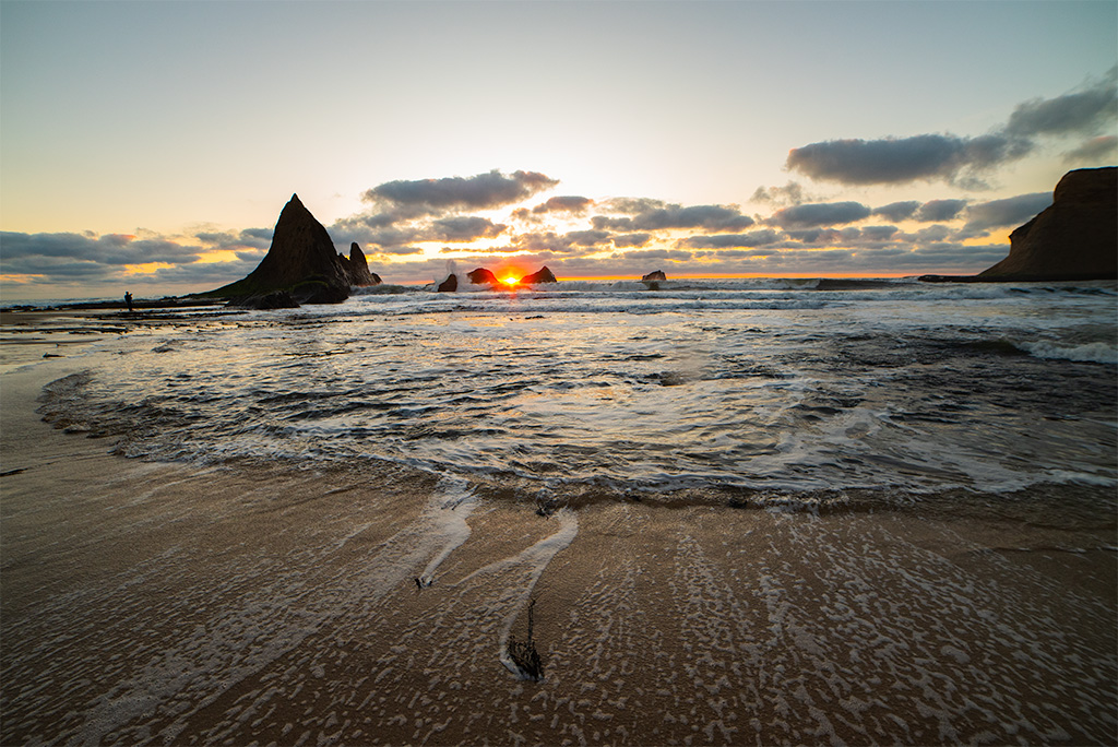 April 2026 - Brad Becker