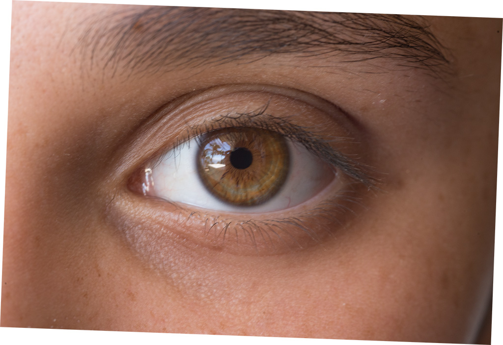 November 2025 - Brad Becker