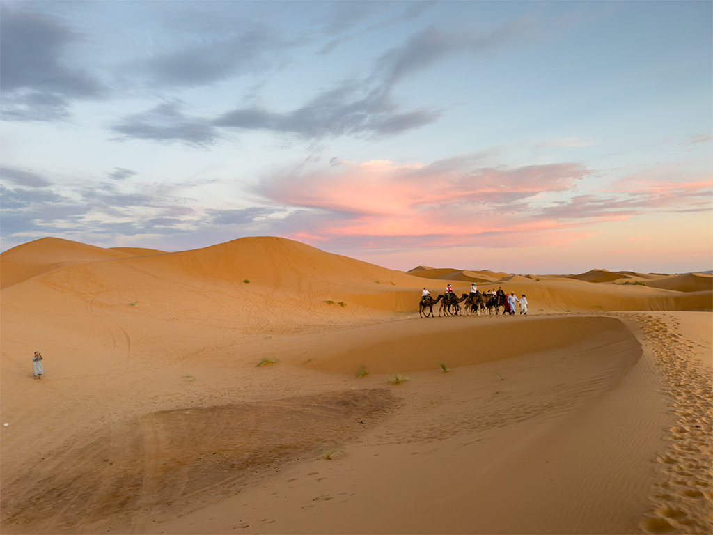 December 2025 - Brad Becker