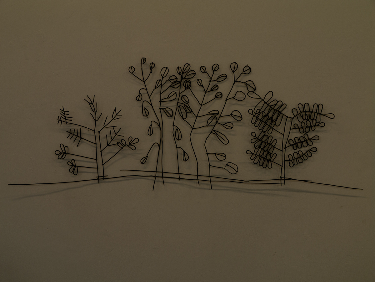 April 2026 - Ian Ledgard, GMPSA/b, EFIAP/p, AWPF, GPU-Cr5