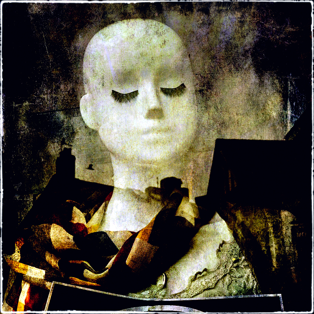 Shop Window Reflection by Robin Mellor