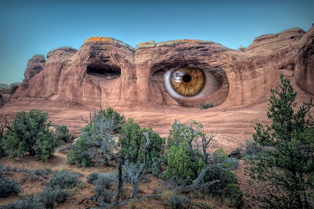 Alive by Brad Becker