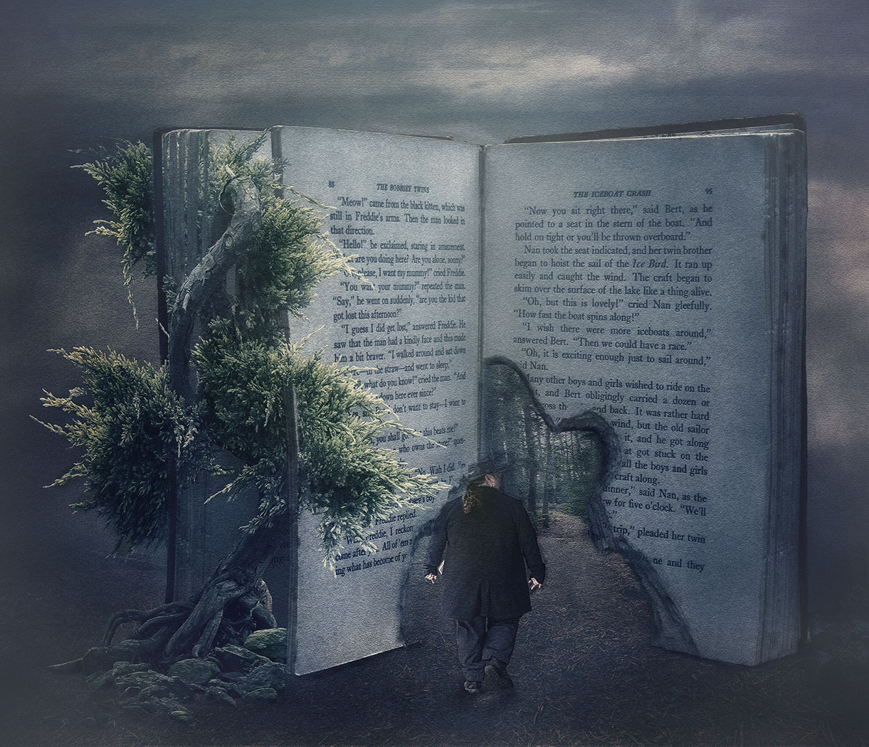 Through lifes pages by Nadia Trevan