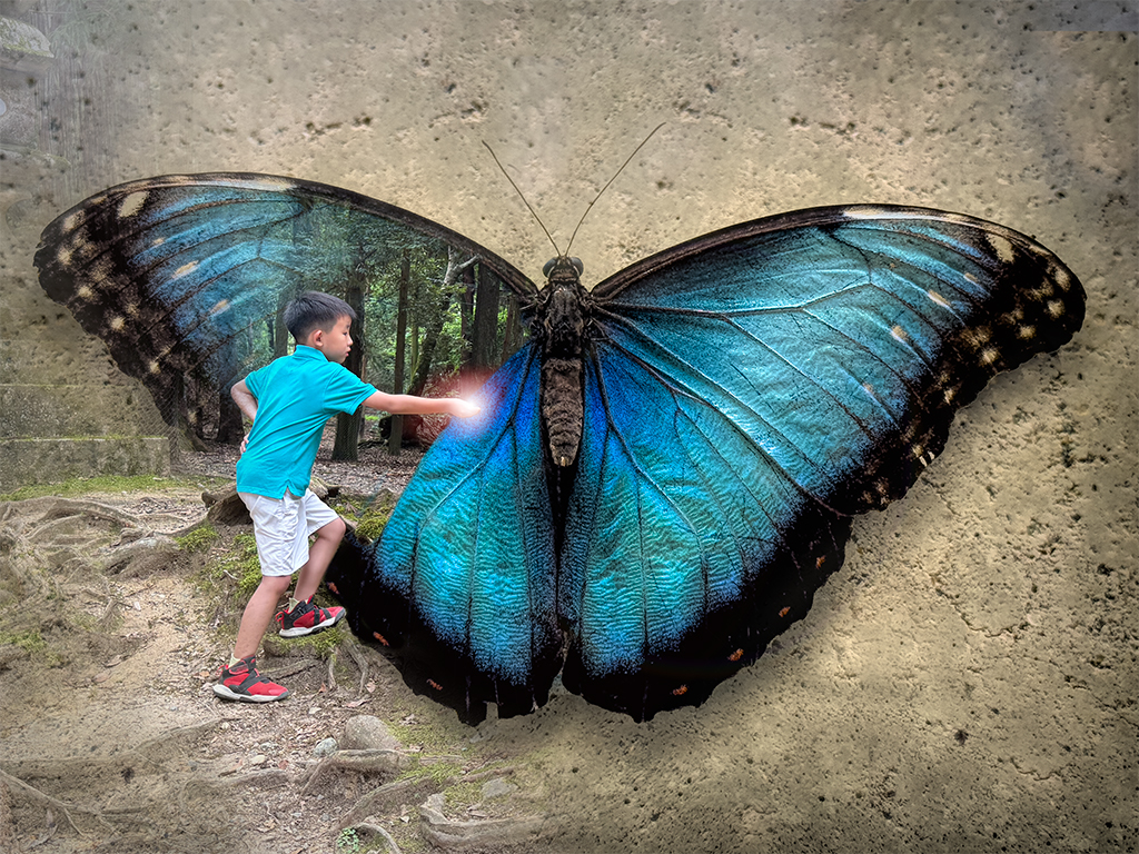 curiosity by Brad Becker