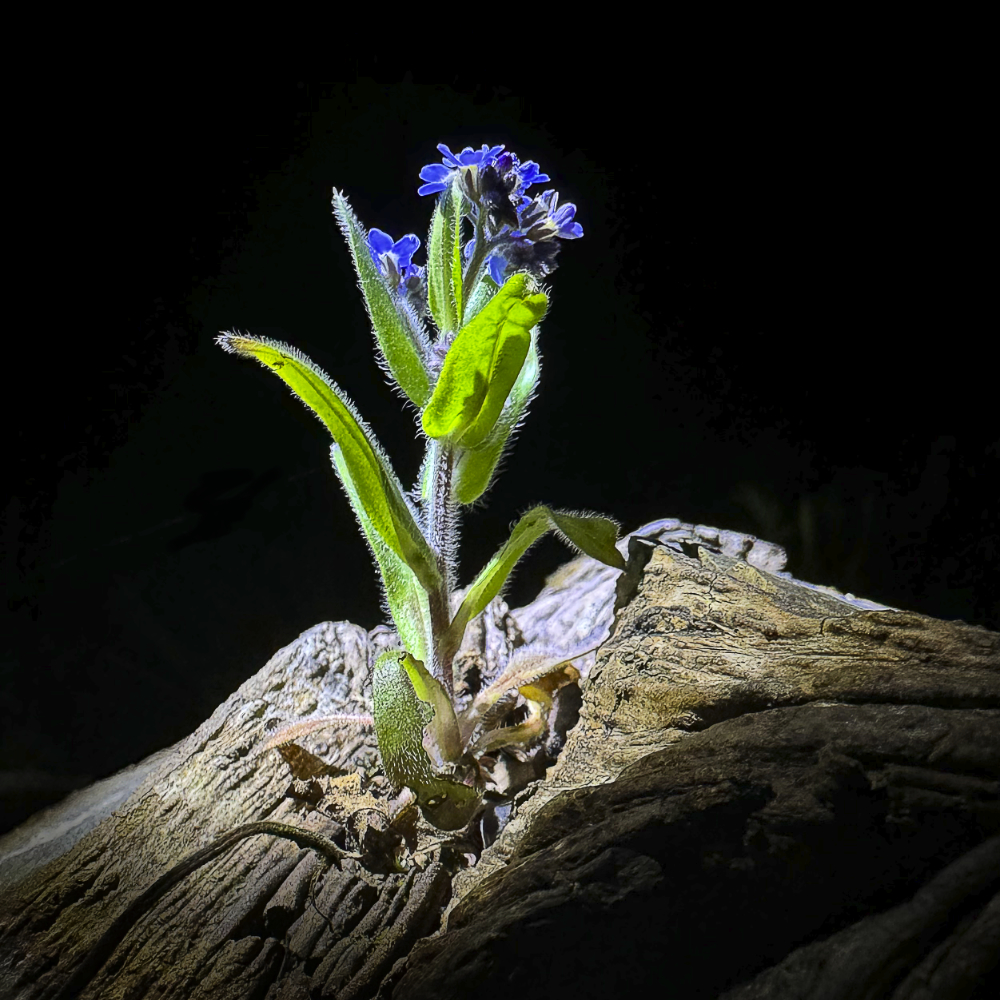 December 2025 - Robin Mellor