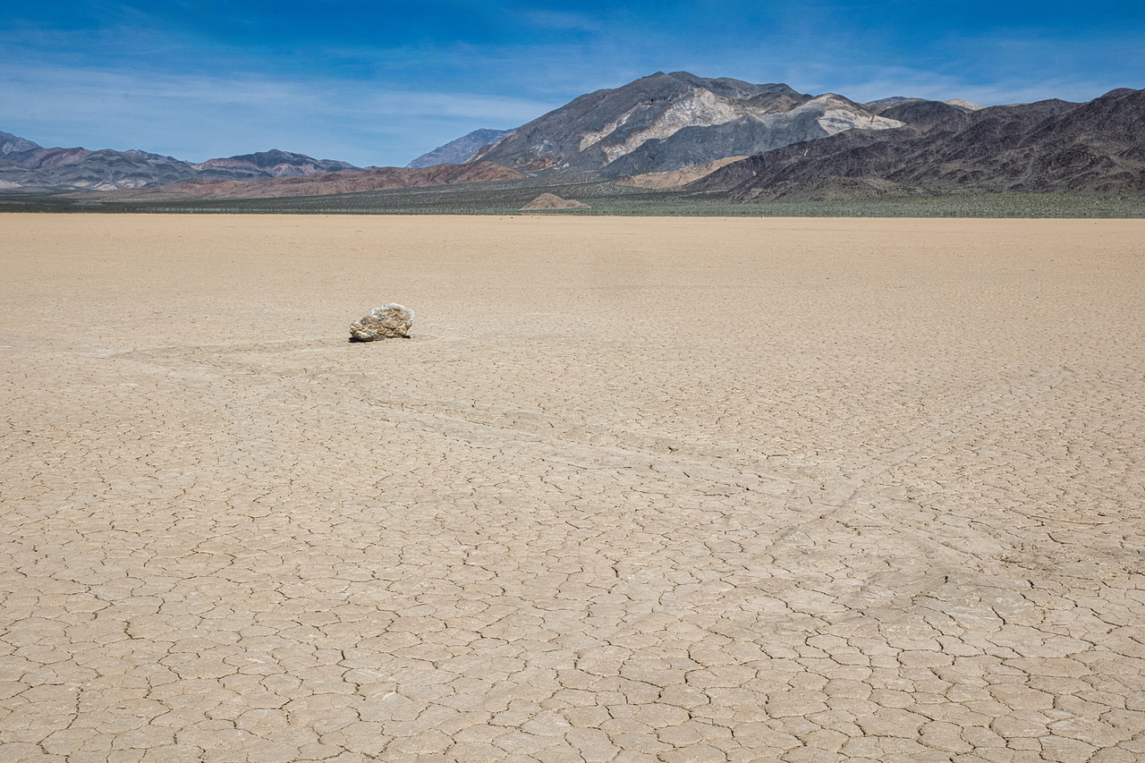 The Race Track by Michael Braunstein
