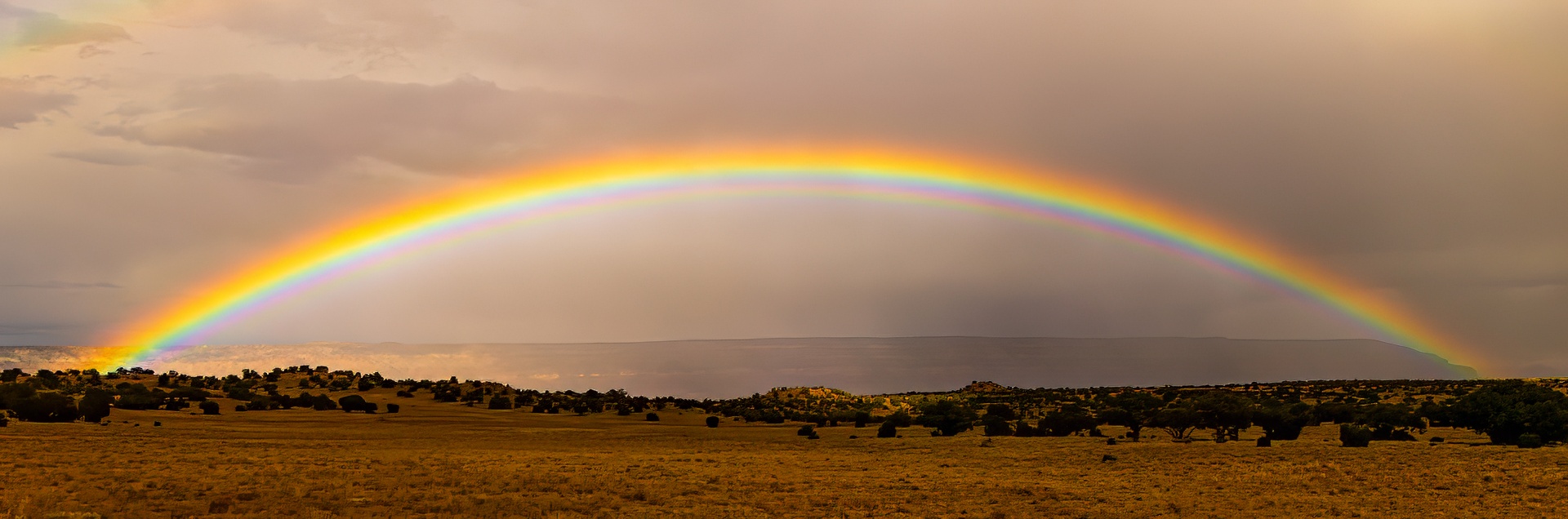 Rick's Rainbow by Susan Lurie