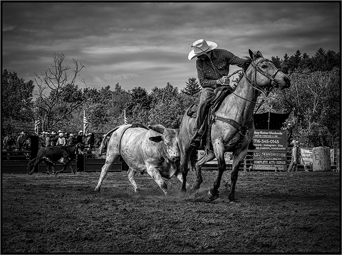 Rodeo by Charles Bartolotta