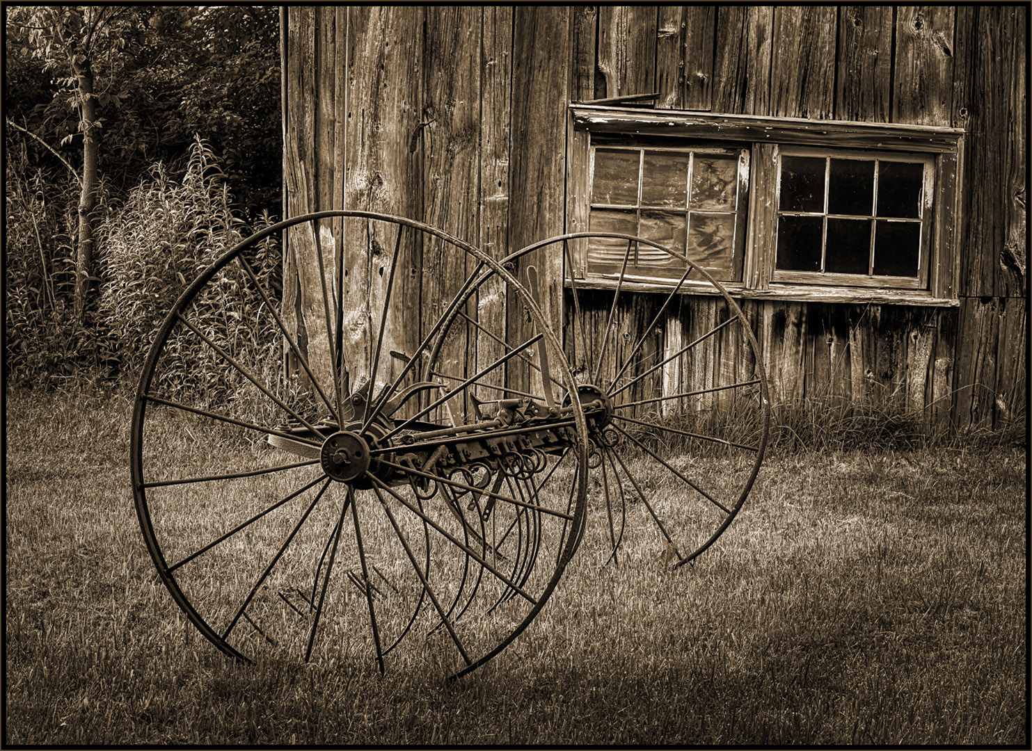 OLD HAY RAKE RIDE by Charles Bartolotta