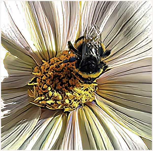 A Bee and a Flower by Stuart Caine