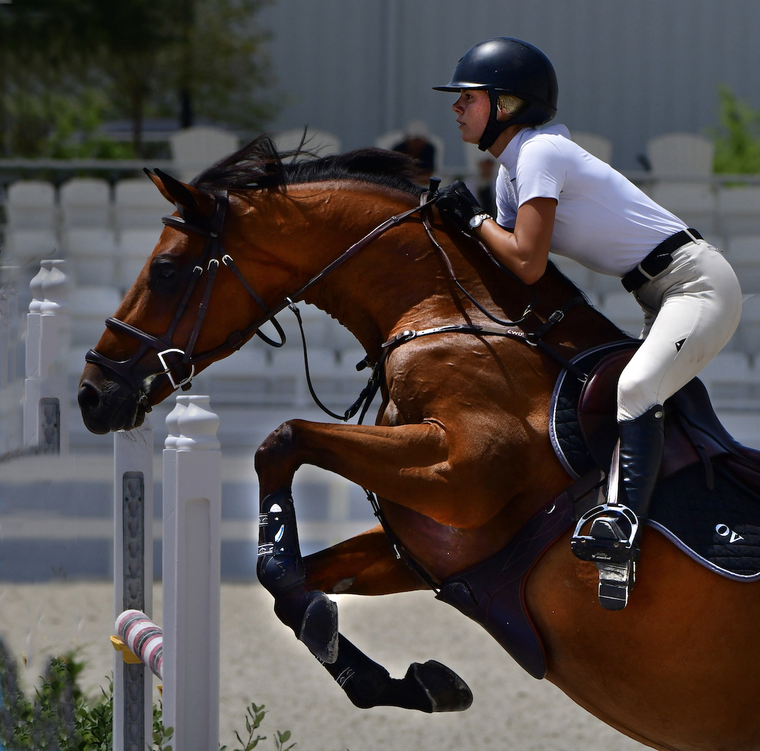 The Art of the Jump by Tom Buckard