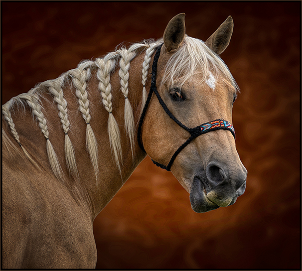 rodeo. by Charles Bartolotta