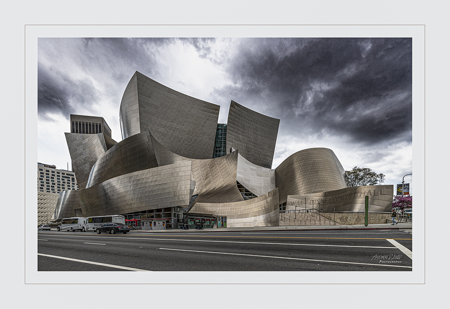 Disney Hall by Andrew Lewis