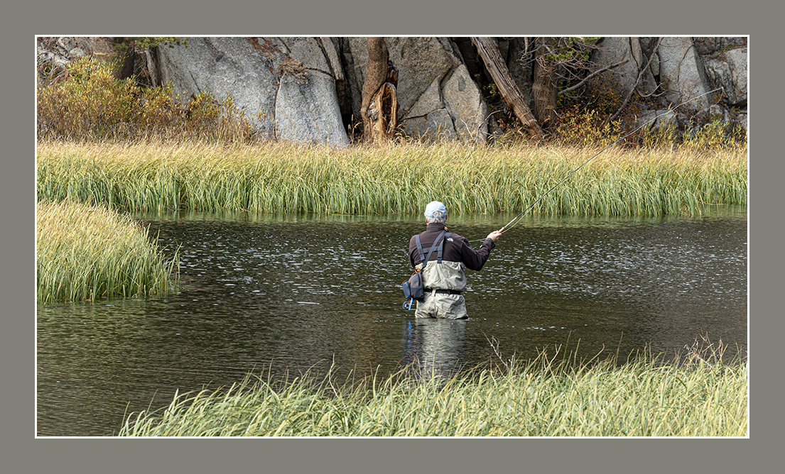 Fly Fisherman by Andrew Lewis