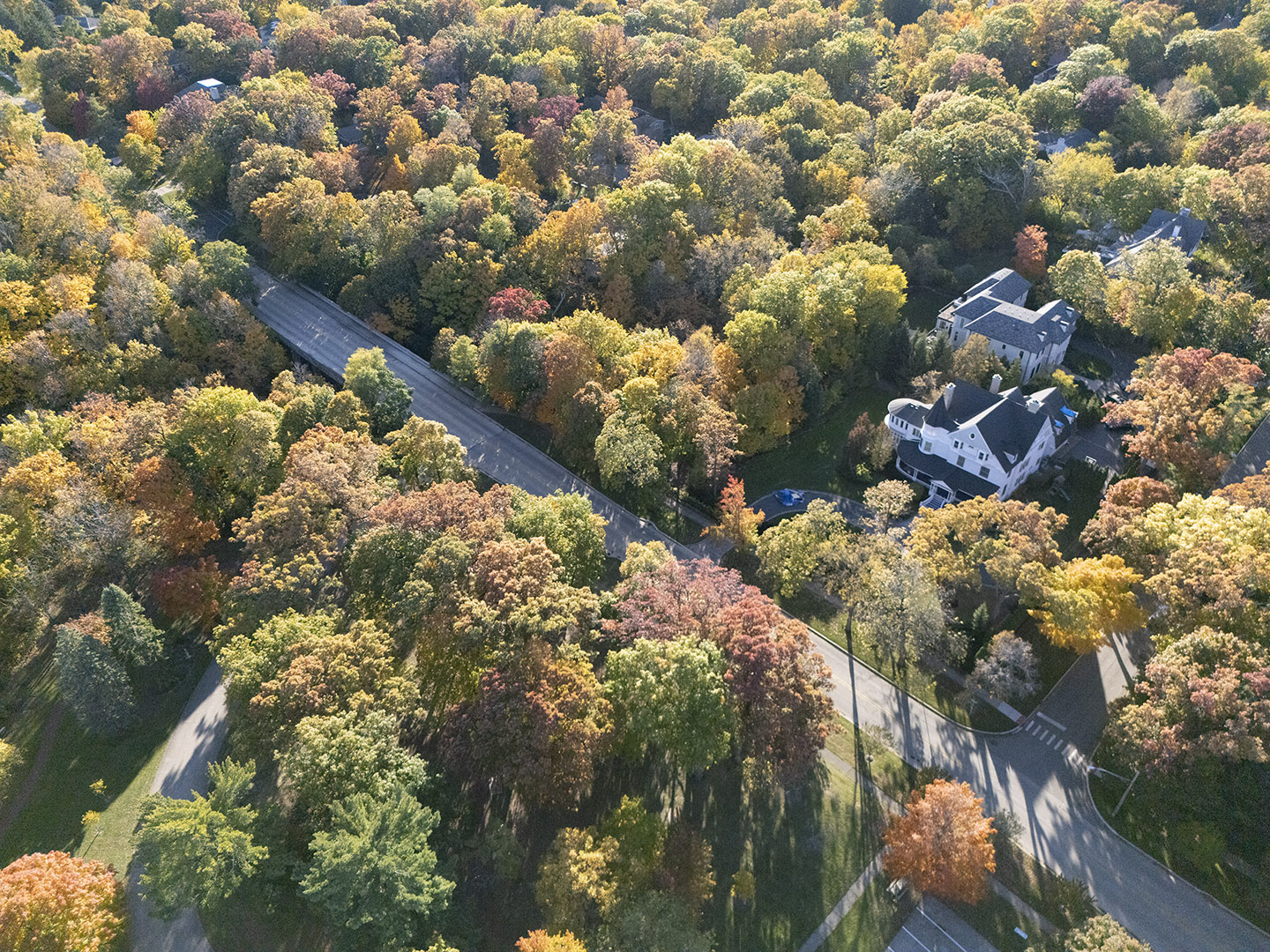 December 2025 - Harley Rubens