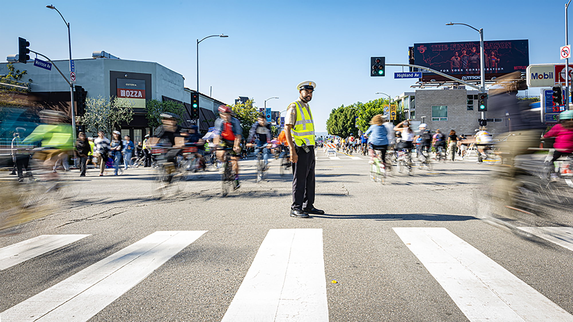 Traffic Cop by Andrew Lewis