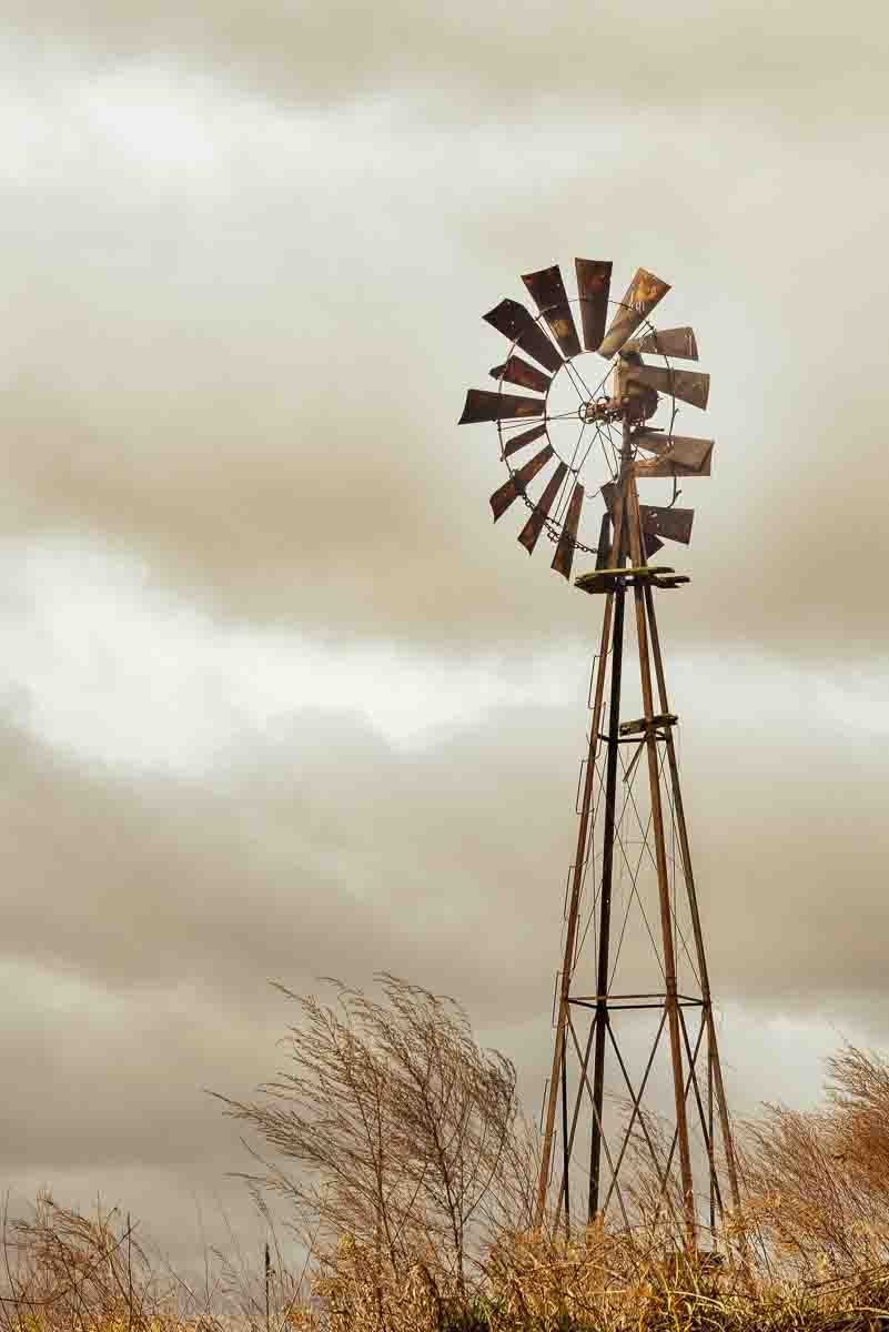 Windmill and Grass by Bruce Michelotti