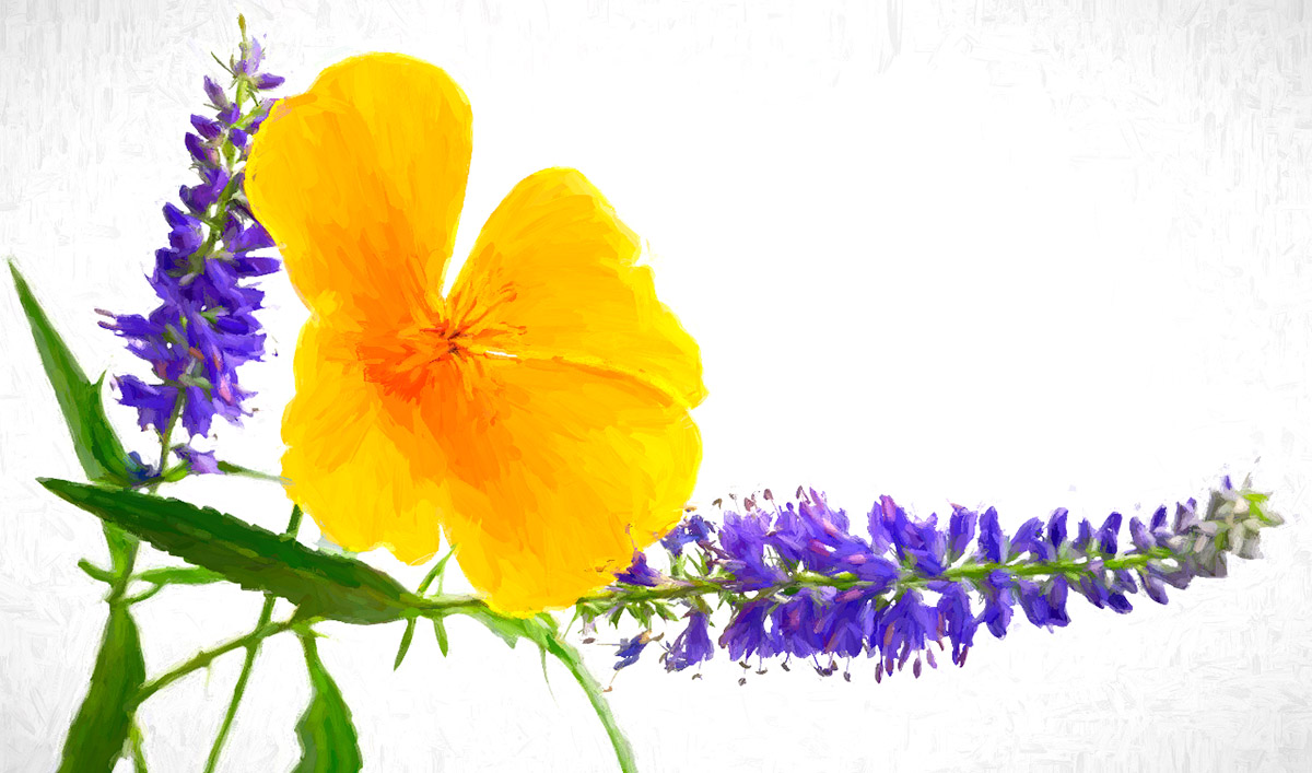 Comment Image