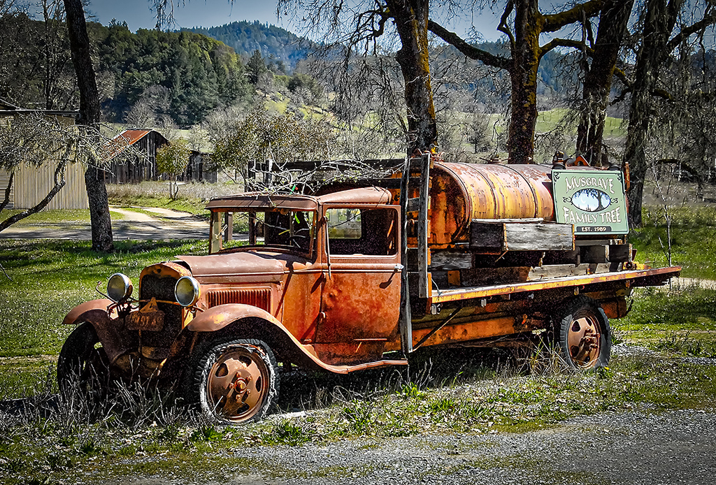 Musgrave Wine Truck with Tree in Front Seat by Max Burke