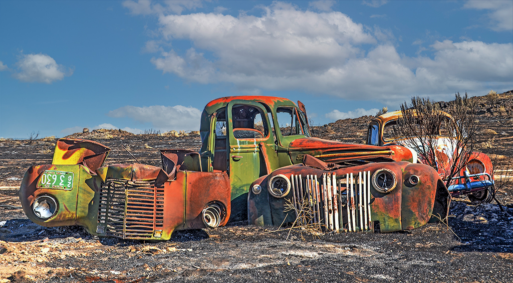 Recent Fire Damage, Edge of Desert by Max Burke