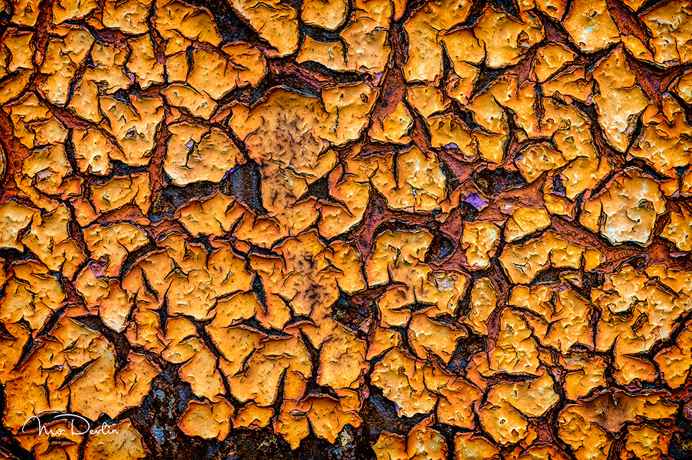 Patchwork Rust by Mo Devlin
