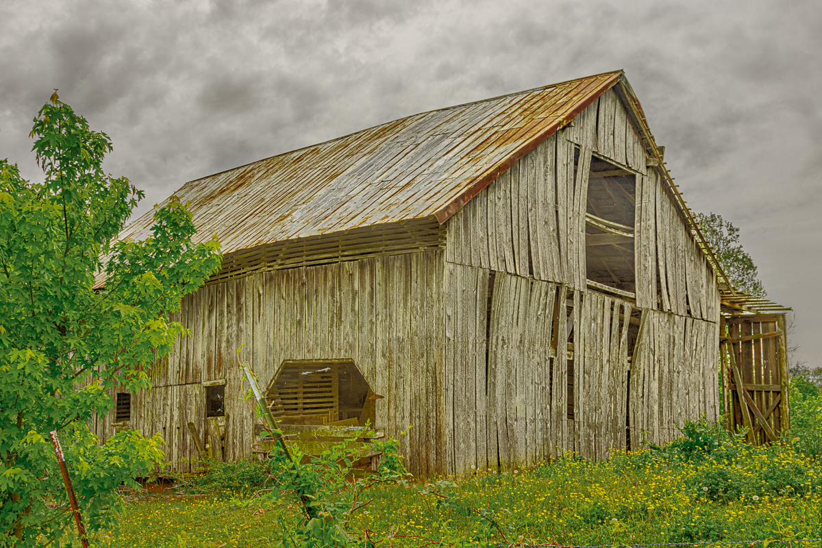 Weathered Barn by Don Poulton