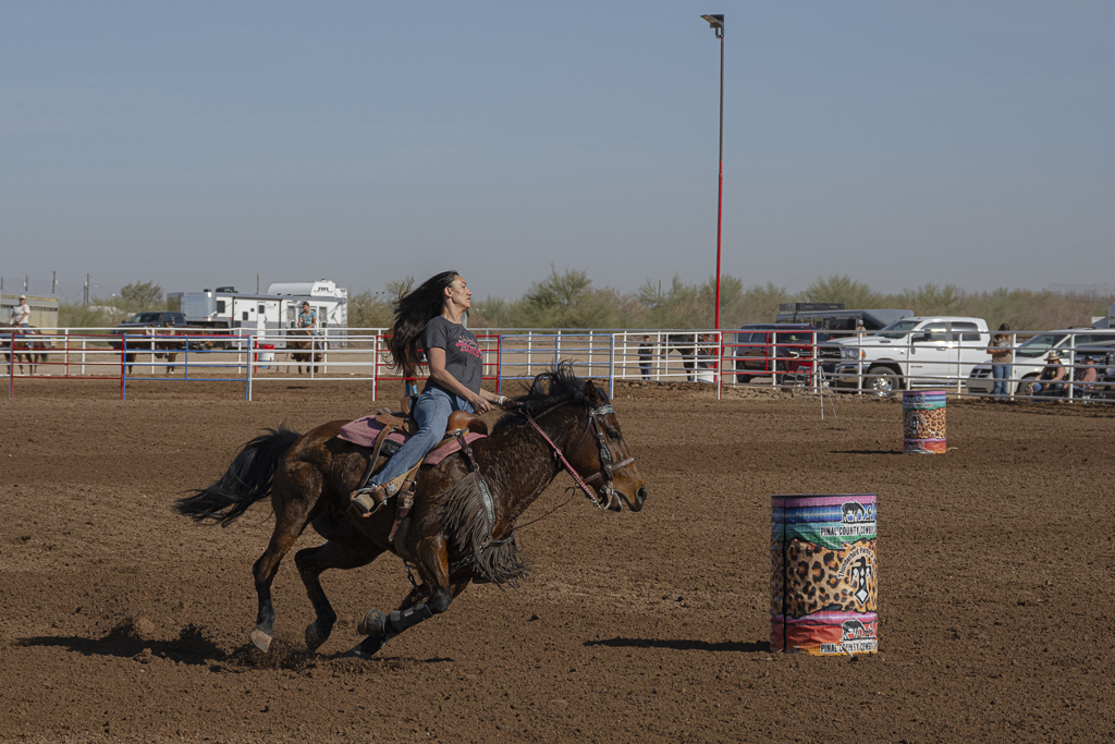Brown Stallion at the Barrel Races by Phyllis Peterson